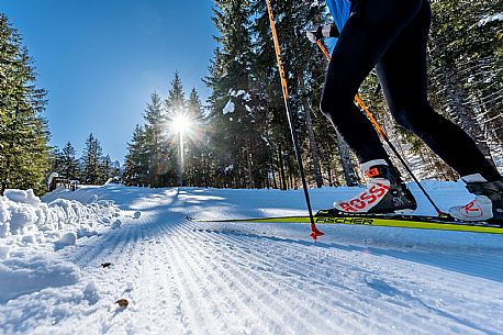 Cross country skiing in Val Saisera