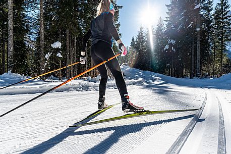 Cross country skiing in Val Saisera