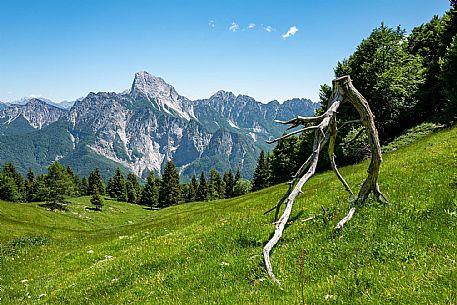 Val d'Incarojo - Carnia