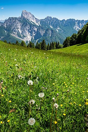 Val d'Incarojo - Carnia