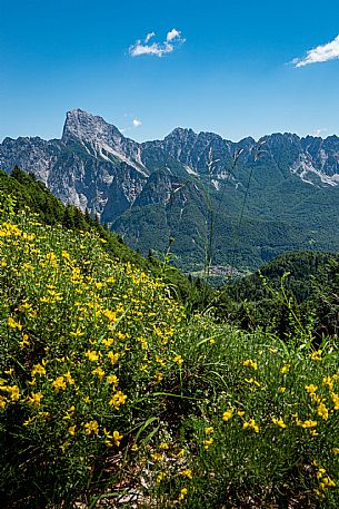 Val d'Incarojo - Carnia