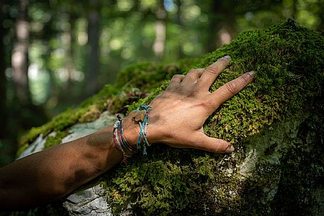 Forest Bathing