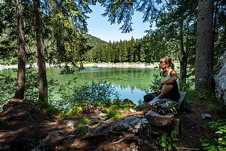 Forest Bathing