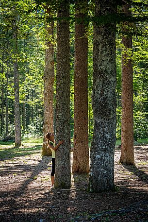 Forest Bathing