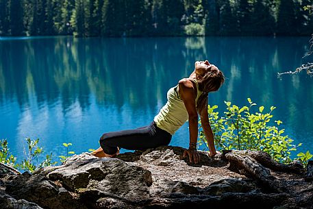 Forest Bathing