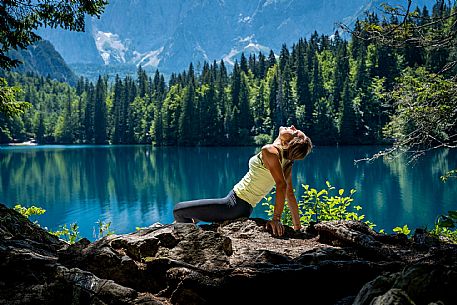 Forest Bathing