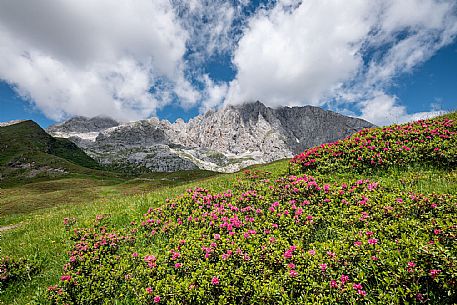 Alpi Carniche