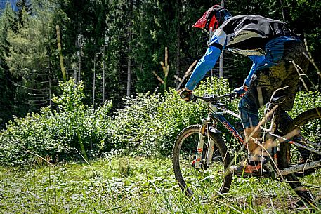 Gravity Park - Forni di Sopra