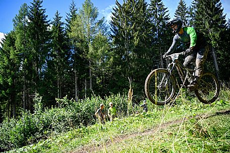 Gravity Park - Forni di Sopra