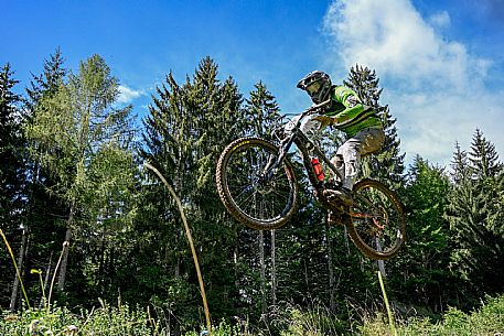 Gravity Park - Forni di Sopra