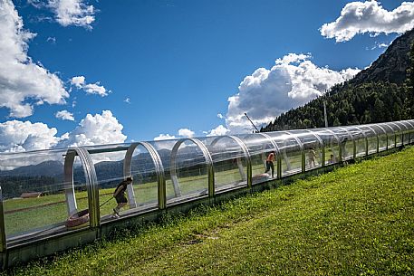 Varmost - Forni di Sopra