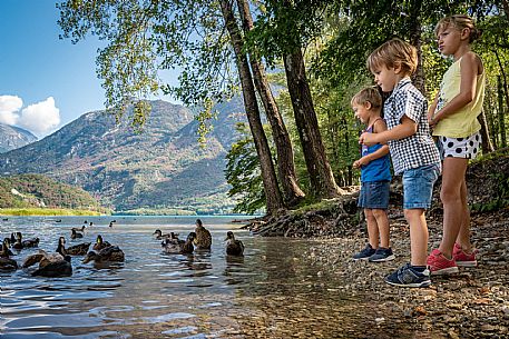 Lago di Cavazzo o dei Tre Comuni