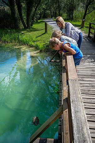 Lago di Cavazzo o dei Tre Comuni