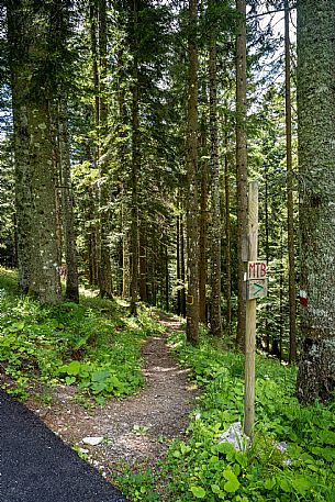 Valle del Chiarsò - Carnia