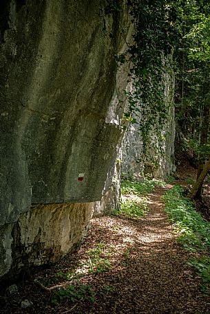 Valle del Chiarsò - Carnia