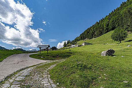 Malga Zermula - Carnia