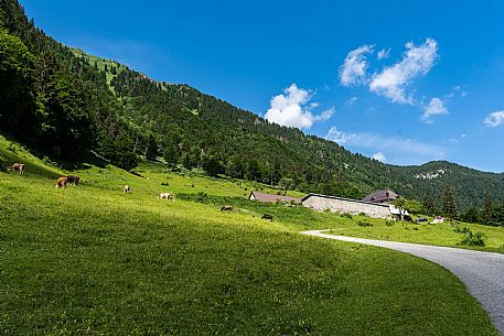 Malga Zermula - Carnia