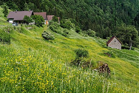 Valle del Chiarsò - Carnia