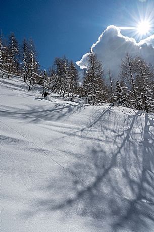 Ski to Forni di Sopra
