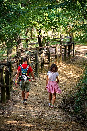 Cormons - Vigne Alte Path