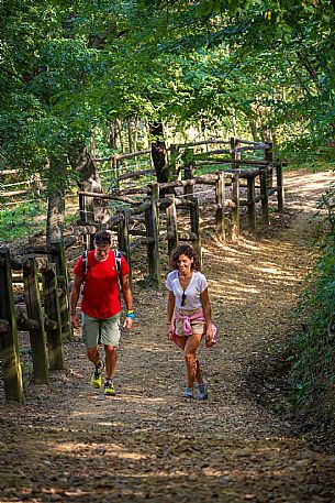 Cormons - Vigne Alte Path