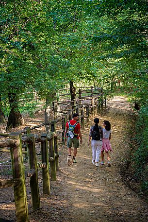 Cormons - Vigne Alte Path