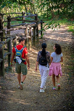 Cormons - Vigne Alte Path