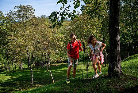 Cormons - Vigne Alte Path