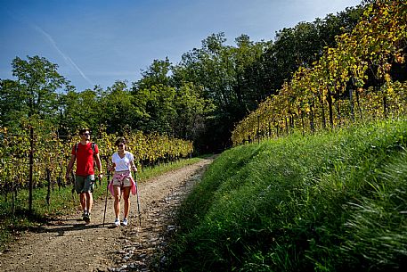 Cormons - Vigne Alte Path