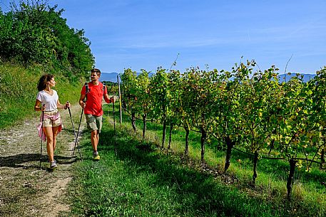 Cormons - Vigne Alte Path