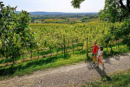 Cormons - Vigne Alte Path