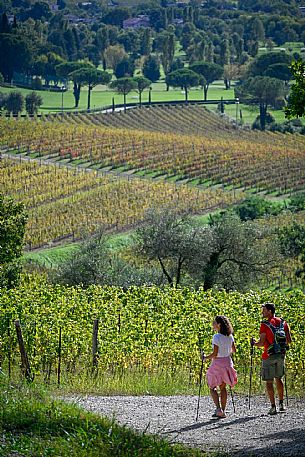 Cormons - Vigne Alte Path