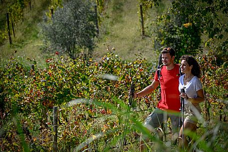 Cormons - Vigne Alte Path