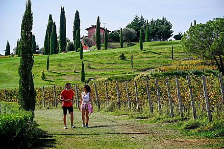 Cormons - Vigne Alte Path