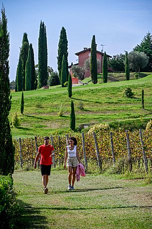 Cormons - Vigne Alte Path