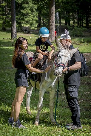 A ride with asino Biagio - Forni di Sopra(Ud)