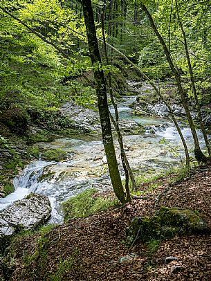 Val d'Arzino