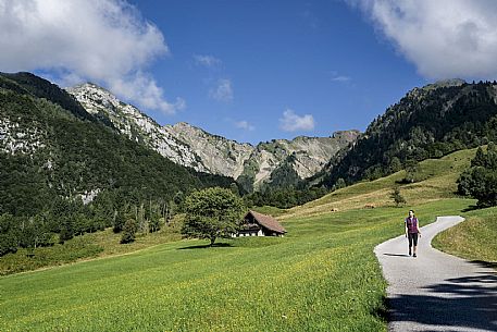 Panoramic view towards Val Tagliamento from the Conca di Pani ring - Carnia Panoramic view towards Val Tagliamento from the Conca di Pani ring - Carnia