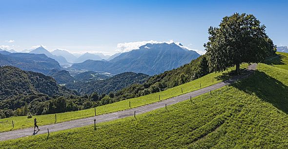 Panoramic view towards Val Tagliamento from the Conca di Pani ring - Carnia Panoramic view towards Val Tagliamento from the Conca di Pani ring - Carnia