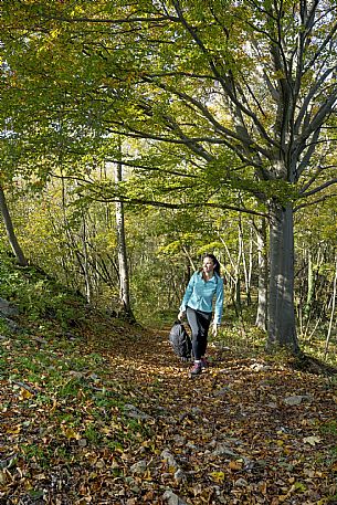 Tribil Meadows in Autumn
Walking along the path and admiring the view towards the Judrio valley.