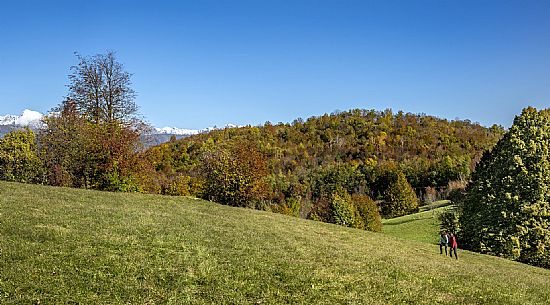 Tribil Meadows in Autumn
Walking along the path and admiring the view towards the Judrio valley.