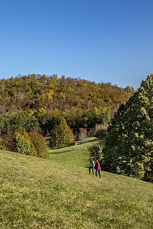 Tribil Meadows in Autumn
Walking along the path and admiring the view towards the Judrio valley.