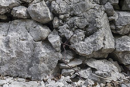 WOP,Italia, Doberdò del Lago, FLONDAR,© Schirra/Giraldi