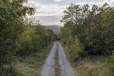 WOP,Slovenia, Komen, ROAD TO MAVHINJE,© Schirra/Giraldi