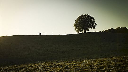 Cammino delle Pievi