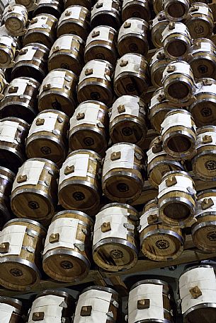 Midolini vinegar cellar