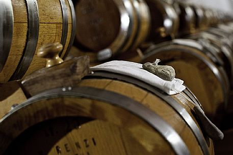 Midolini vinegar cellar
