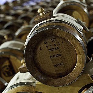 Midolini vinegar cellar