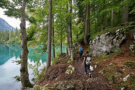AAT Tarvisiano - Laghi di Fusine
