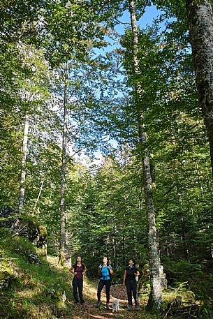 AAT Tarvisiano - Laghi di Fusine